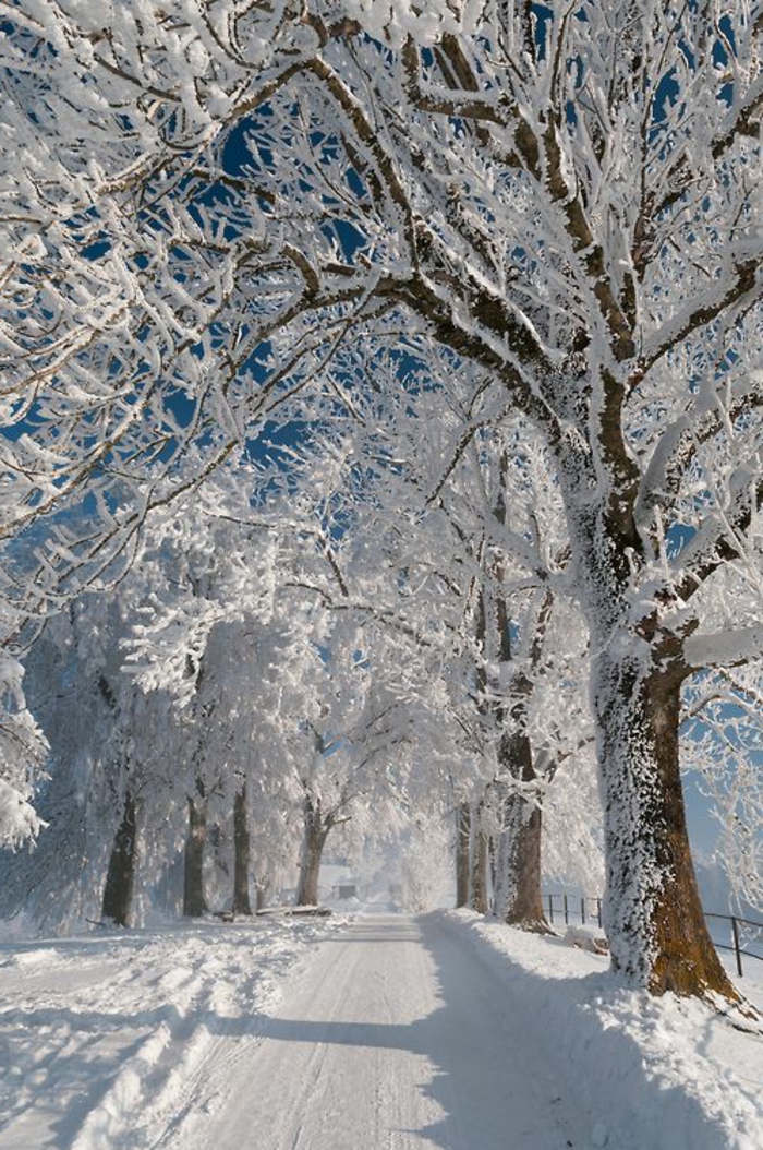 éclatant-fond-d-ecran-hiver-paysages-de-noel-éclatant-beauté