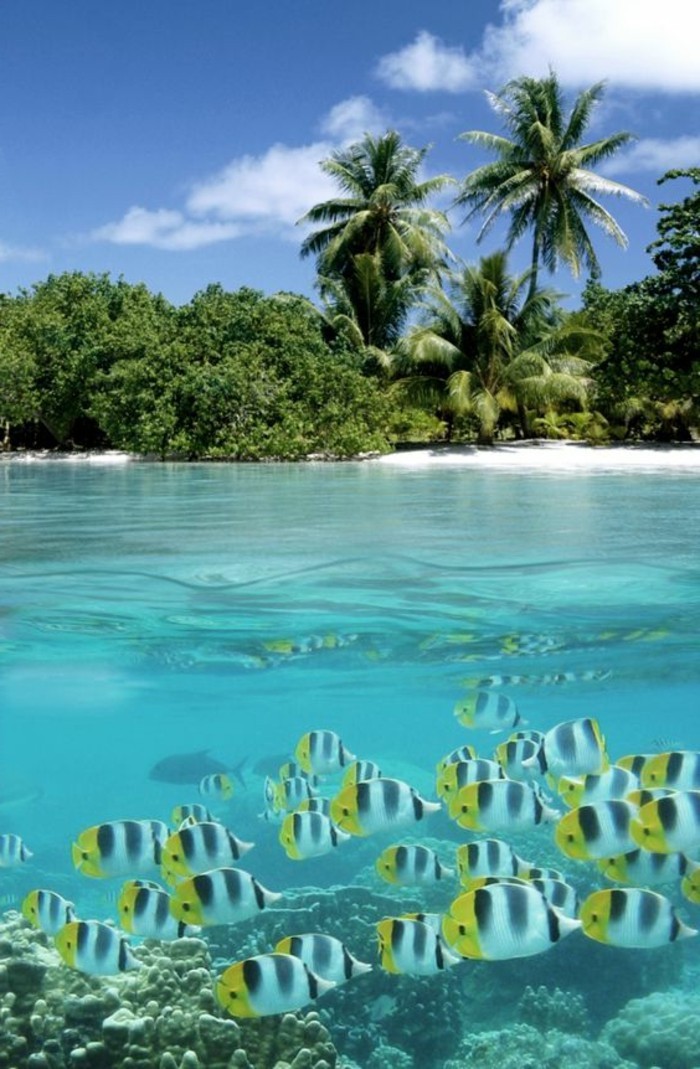 00-les-seychelles-plage-paradisiaque-les-meilleures-plages-du-monde-photo-plage-paradisiaque