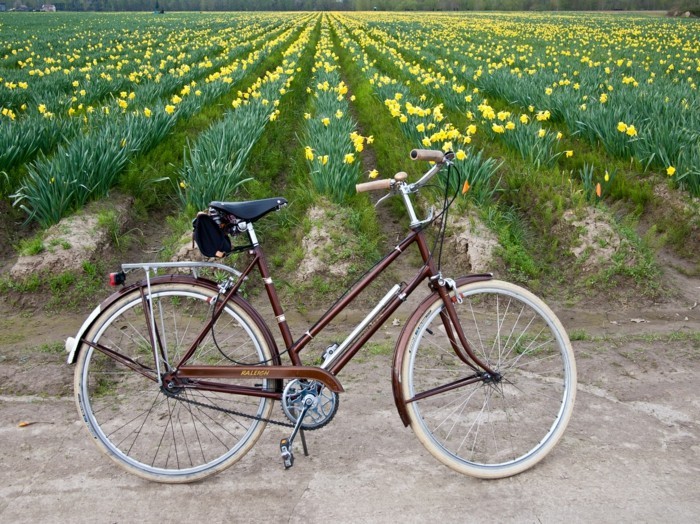 Style-à-deux-roux-velo-retro-vintage-cycles-belle-photo