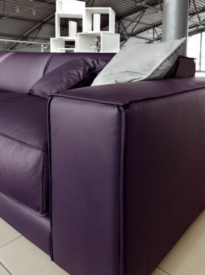 canape-en-cuir-violet-nuancier-violet-prune-couleur-pour-le-salon-idee-deco-couleur