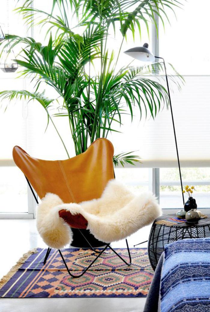 chaise-papillon-carpette-ethnique-et-plante-verte-d'intérieur