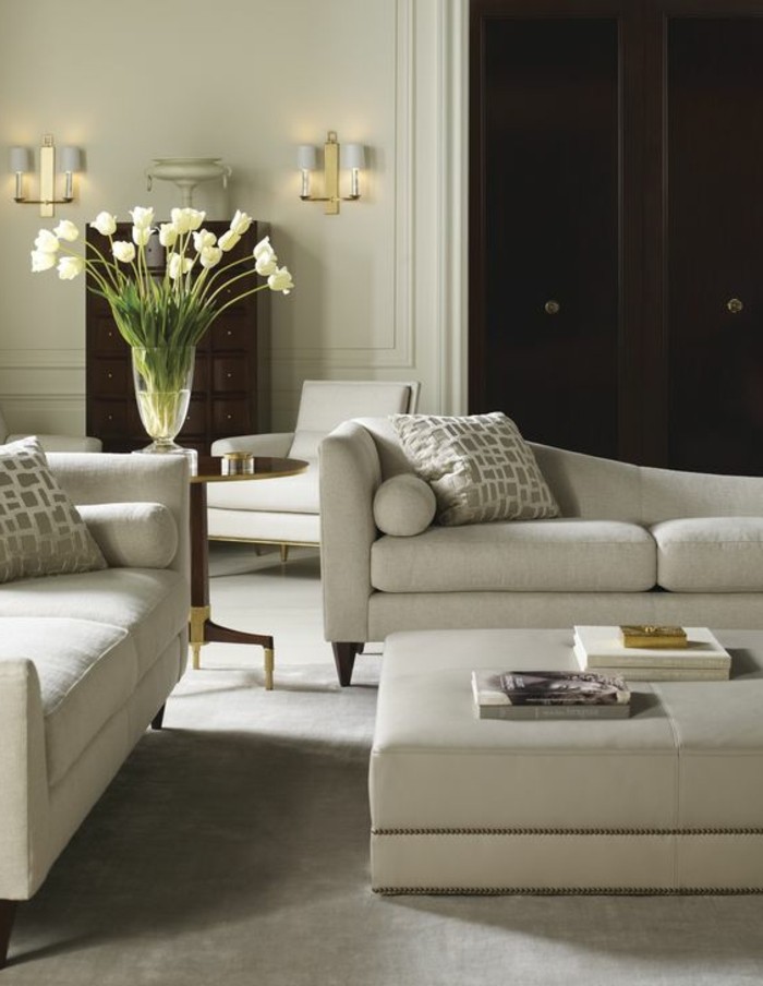 couleur-complémentaire-du-beige-couleur-peinture-salon-meubles-gris-dans-le-salon-chic