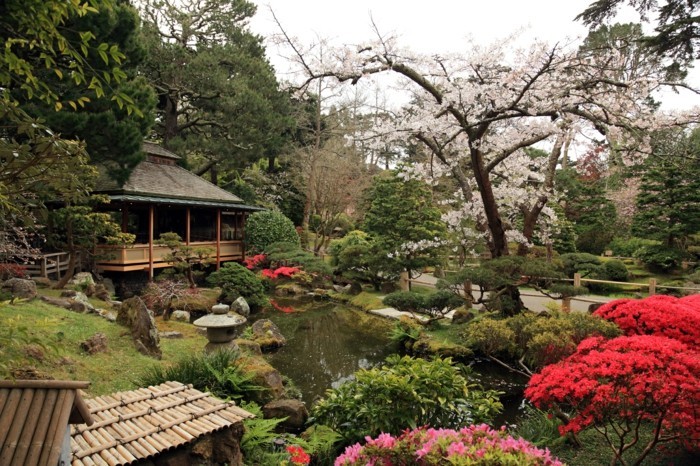 japonais-jardin-paysage-image-de-beau-paysage-bouquet-de-fleurs