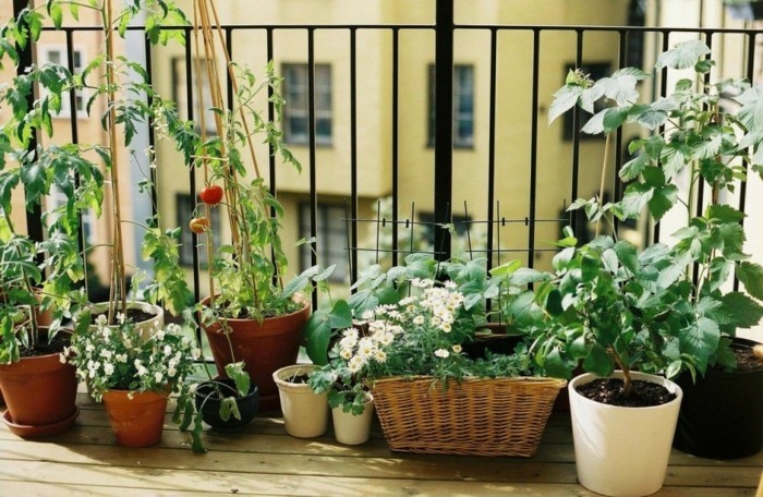 jardinière-à-suspendre-paysagiste-terrasse-aménager-terrasse-idee-deco-balcon