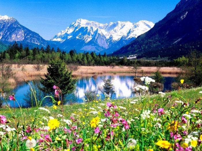 merveilleuse-image-soleil-levan-nature-belle-idée-de-photo-incroyable-vue-de-lac