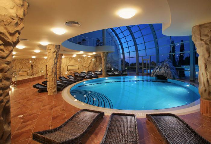 piscine-intérieure-forme-ronde-chaises-longues-mur-transparent