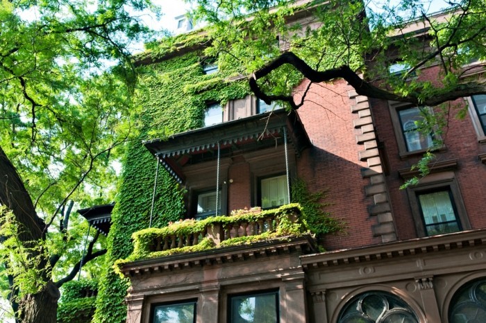 une-façade-verte-amenagement-terrasse-exterieur-idees-magnifiques