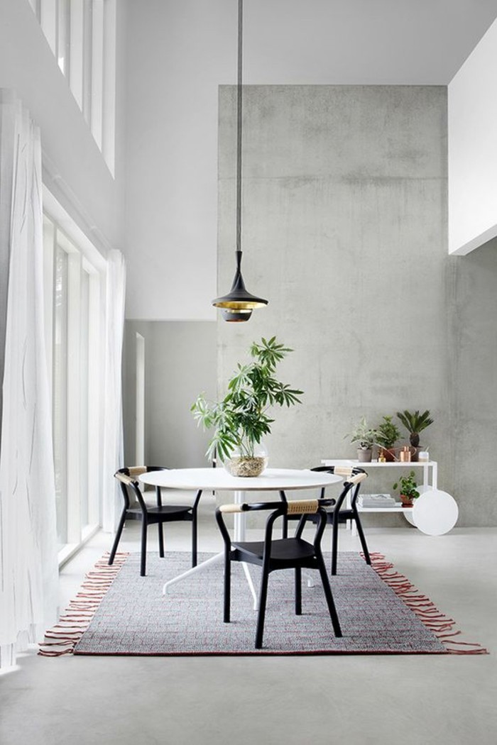 0-salle-de-sejour-moderne-avec-mur-en-deux-couleurs-blanc-gris-tapis-dans-la-salle-de-sejur