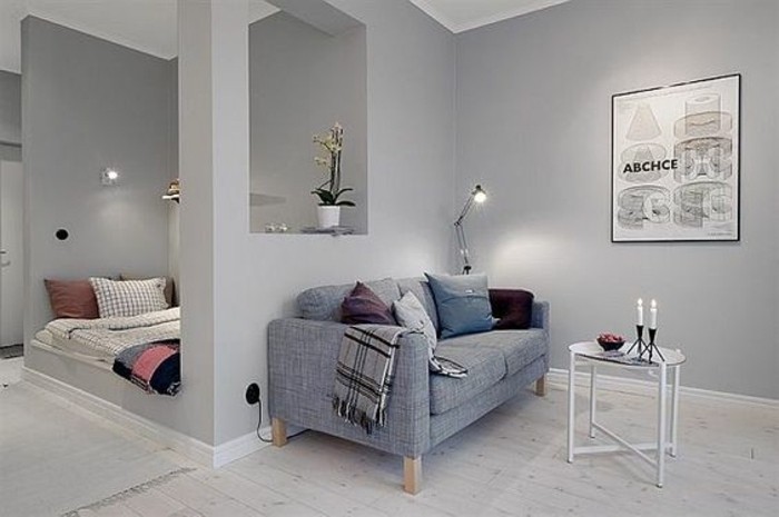 1-idee-deco-sejour-amenager-petit-salon-canape-gris-murs-gris-sol-parquet-canape
