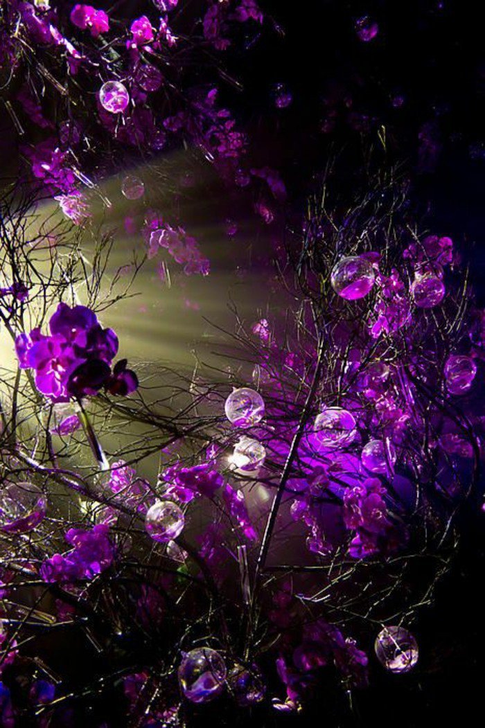 belle-fleur-blanche-et-fleur-violette-bicoleur-cool-idée-fleurs-à-offri-foret