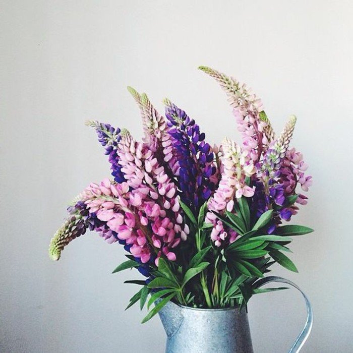 image-fleurs-violettes-les-plus-belles-images-du-monde-inspiration-vase