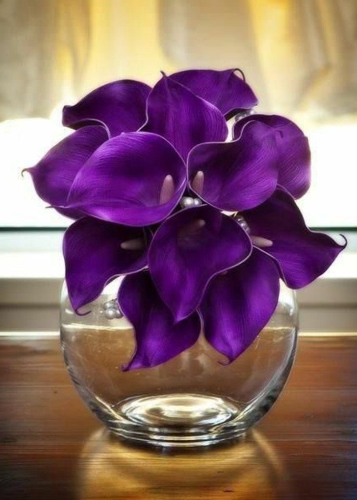 la-beauté-de-la-nature-fleure-violette-fleurs-violettes-vivaces-une-vase-en-verre