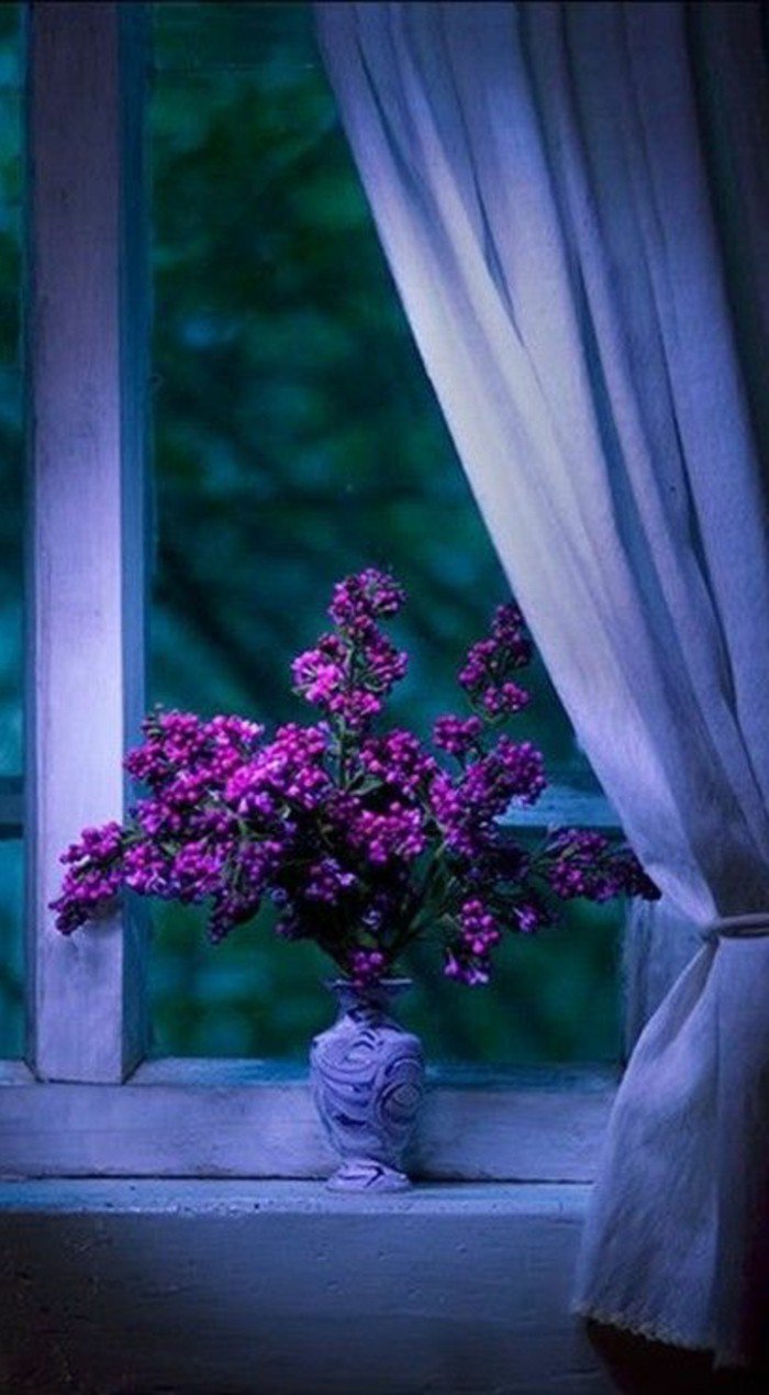 la-beauté-de-la-nature-fleure-violette-fleurs-violettes-vivaces-vase-fenetre-rideaux