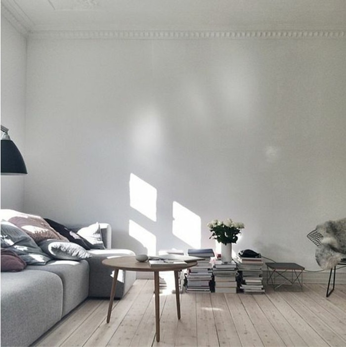 petit-salon-sol-en-bois-clair-canapé-gris-meubles-de-salle-de-sejour-murs-blancs