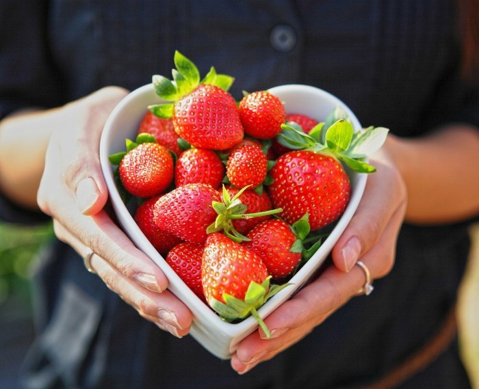 recette-rouleau-de-printemps-la-nature-qui-étonne-avec-sa-beauté-photo-fraises