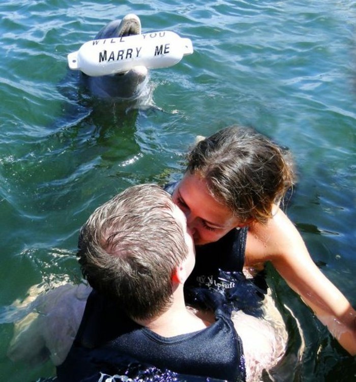 Demande mariage grâce à un dauphin
