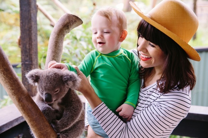 adorable-photo-animal-koala-image-de-bébé-mignon-enfant-joli