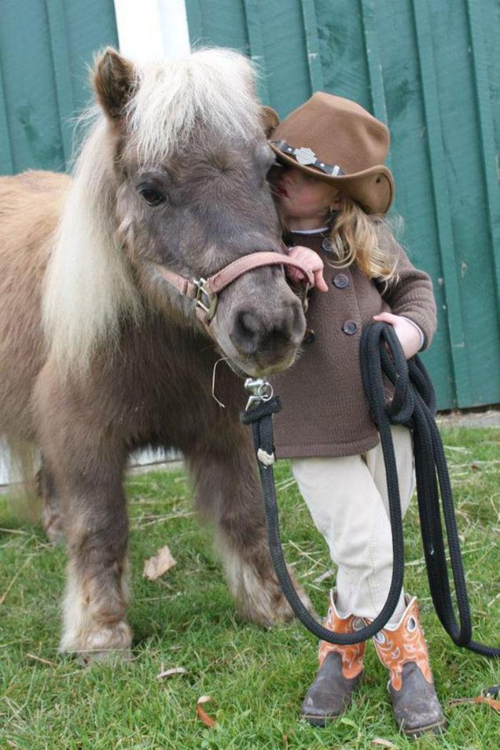 animaux-miniatures-une-petite-fille-avec-son-ami-cheval-miniature