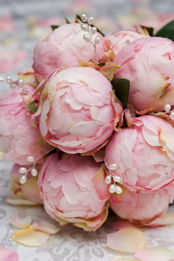 bouquet-de-pivoines-fantastique-pivoine-rose-avant-de-s'éclore