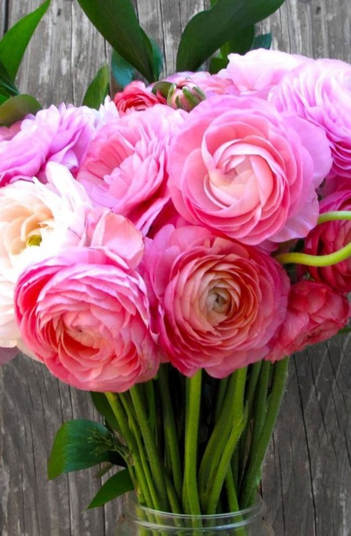 bouquet-de-pivoines-fleuries-roses-brassée-de-pivoines