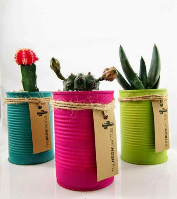 boîte-de-conserve-planter-des-cactus-en-boîtes-de-conserve