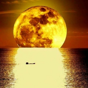 Pourquoi la pleine lune est si inspirante? 40 jolies photographies du disque lunaire