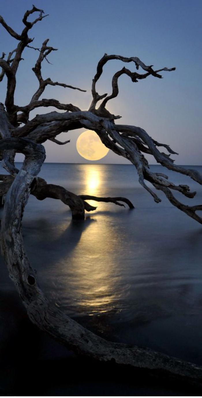 Pourquoi La Pleine Lune Est Si Inspirante 40 Jolies Photographies