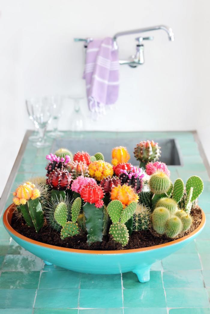 plantes-grasses-d'intérieur-cactus-fleuris-dans-un-bol-céramique-peint-vert