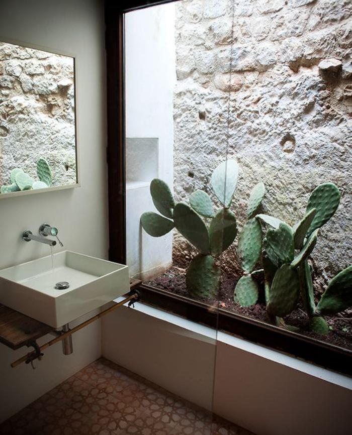plantes-grasses-d'intérieur-idée-déco-fantastique-castus-dans-la-salle-de-bain