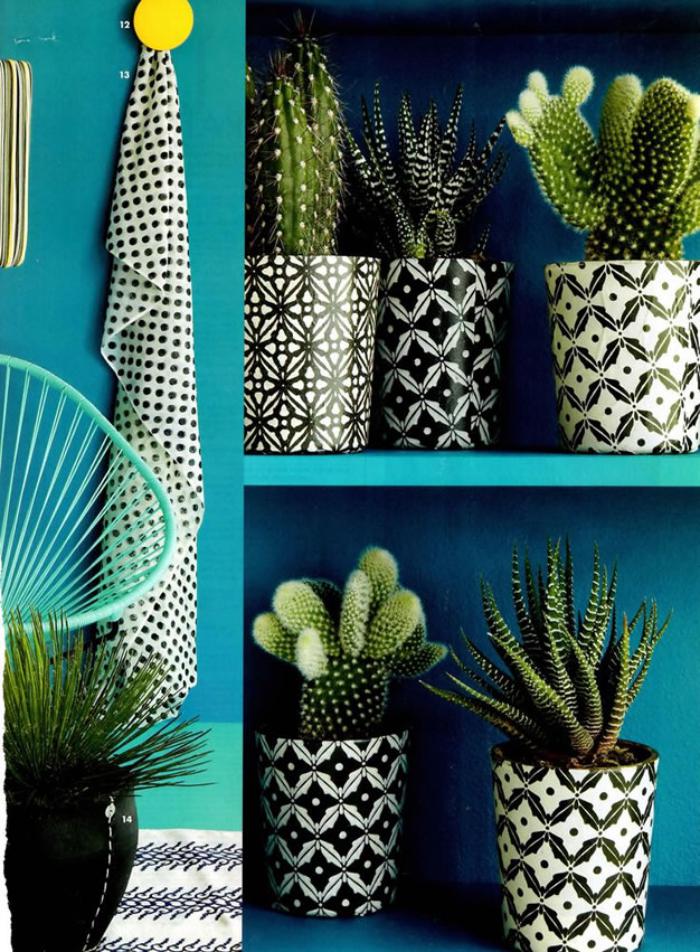 plantes-grasses-d'intérieur-mur-vert-et-pots-cactus-formidables