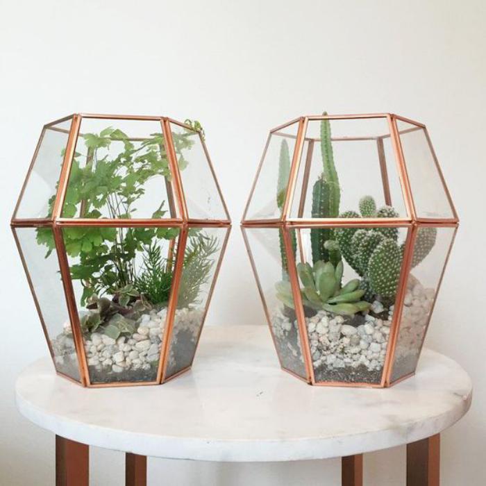 plantes-grasses-d'intérieur-terrariums-en-verre-et-cuivre-compositions-cactées