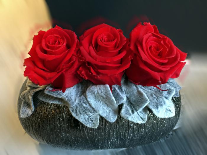 rose-stabilisée-trois-roses-stabilisées-arrangement-fleurs