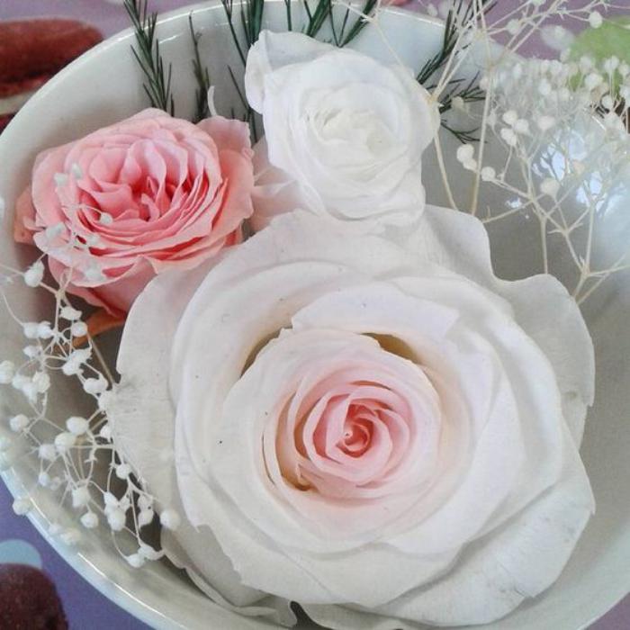 rose-stabilisée-décoration-de-mariages-et-fêtes
