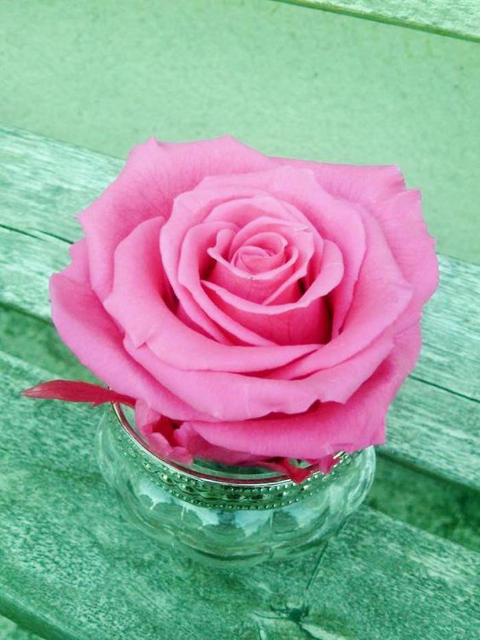 rose-stabilisée-décorer-avec-des-roses-naturelles-stabilisées