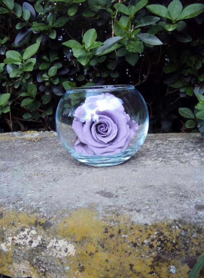 rose-stabilisée-fleurs-éternelles-en-vases