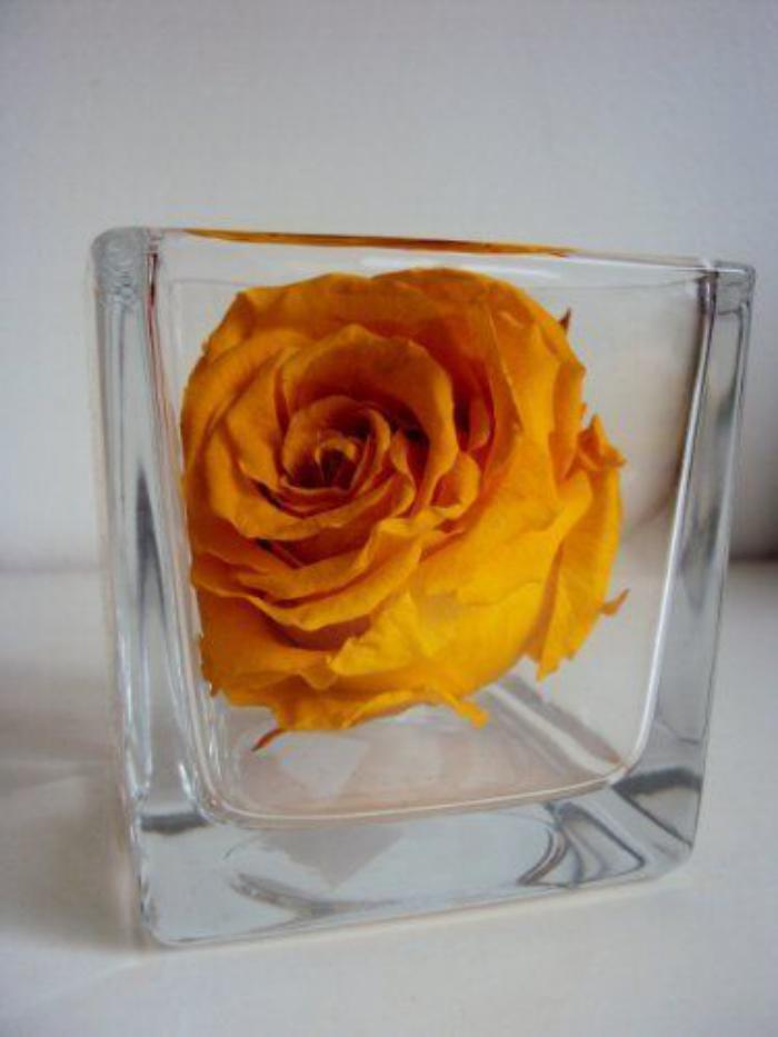rose-stabilisée-jaune-en-vase-verre