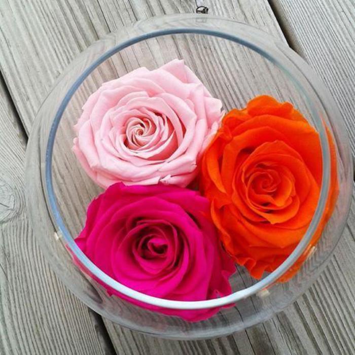 rose-stabilisée-roses-éternelles-en-trois-couleurs