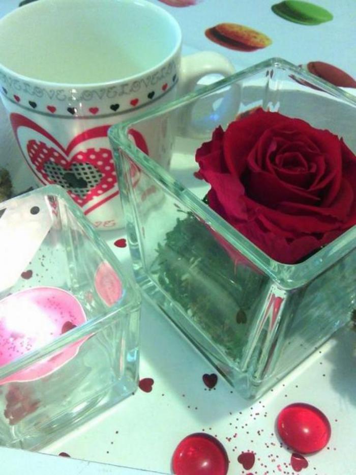 rose-stabilisée-rouge-et-mousse-dans-un-vase