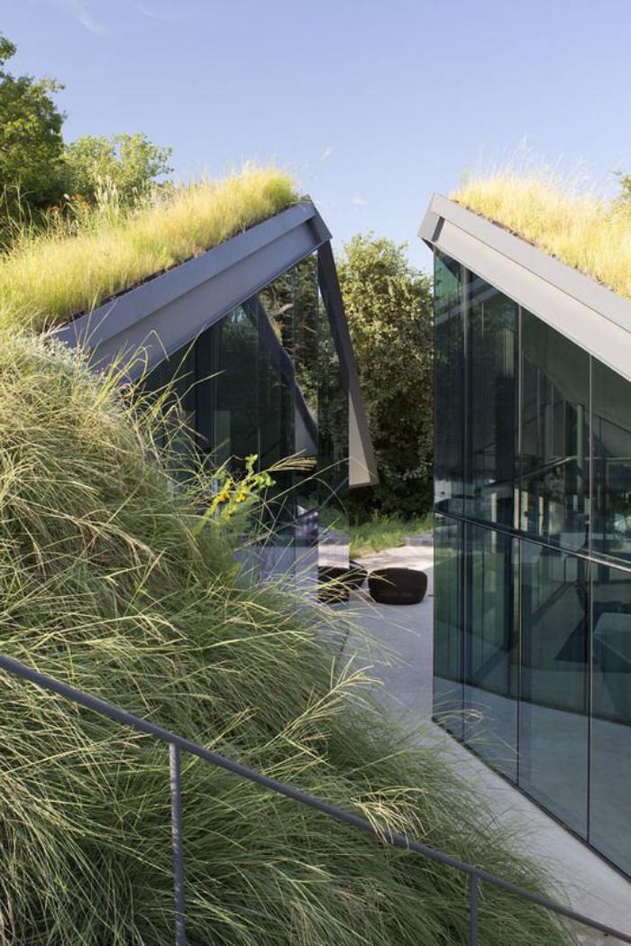 toiture-végétalisée-architecture-moderne-toits-végétaux