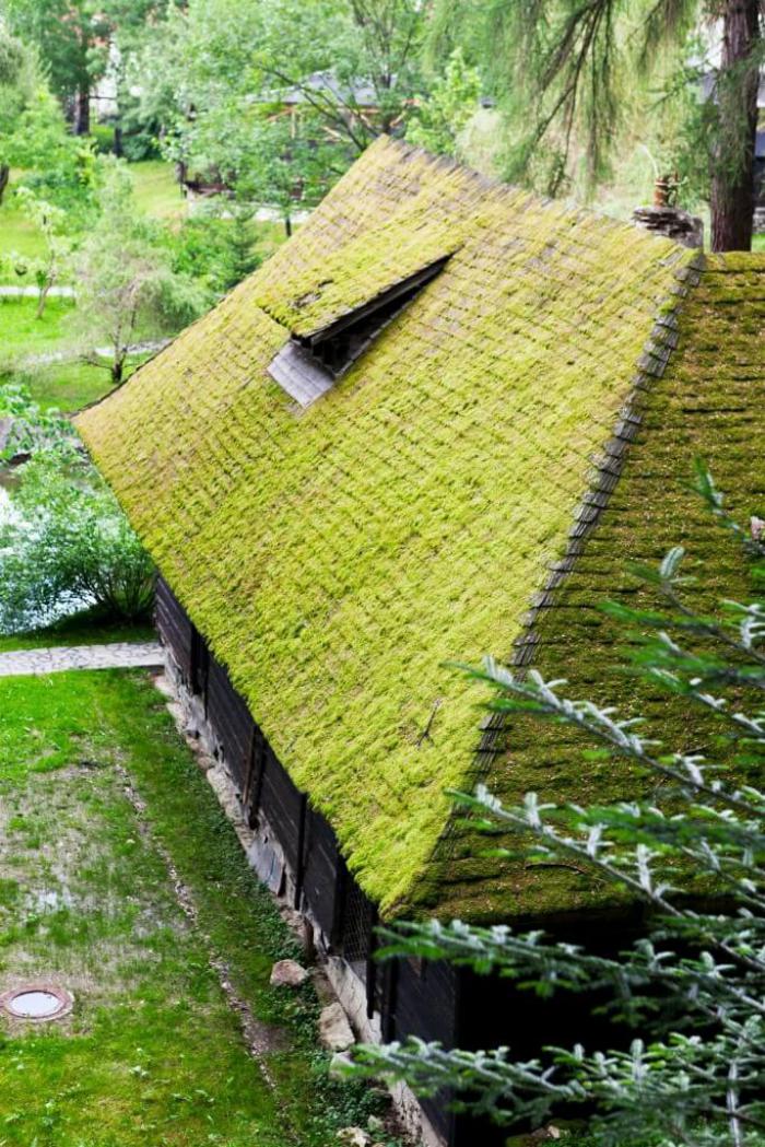 toiture-végétalisée-architecture-verte-toit-végétale