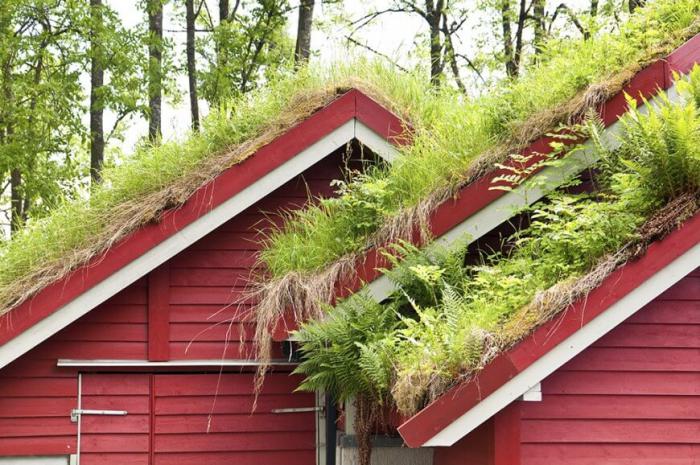 toiture-végétalisée-maisons-à-toitures-vertes-aux-pays-scandinaves