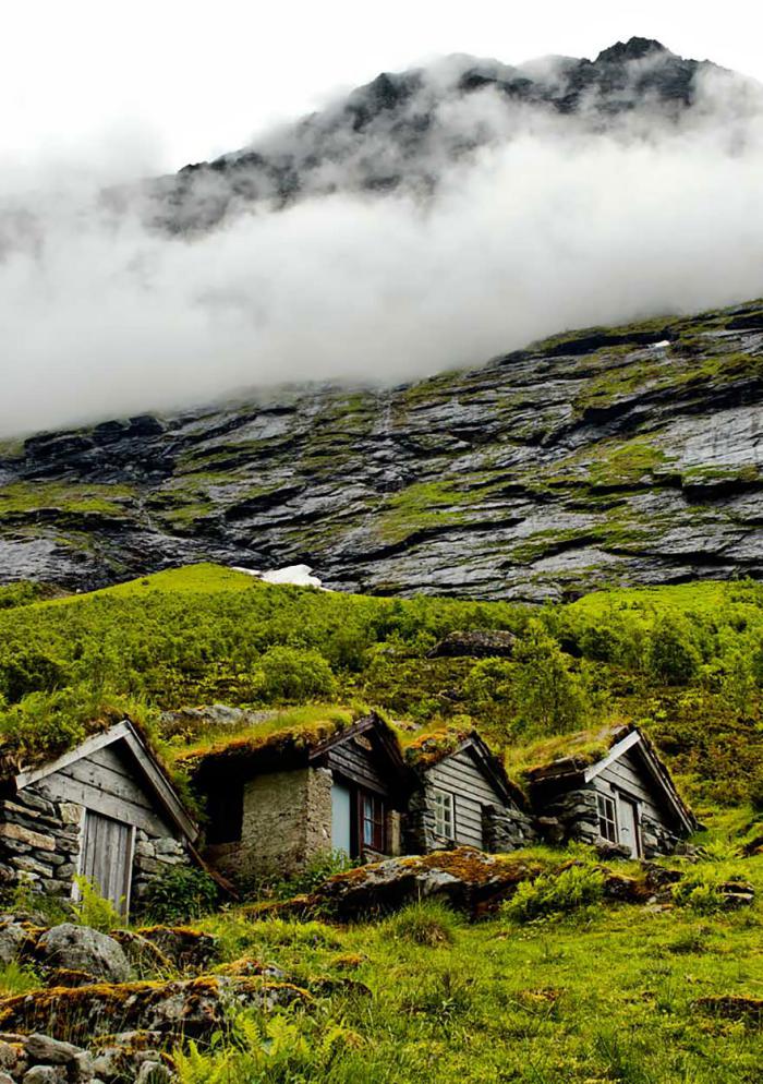 toiture-végétalisée-sur-les-maisons-traditionnelles-scandinaves