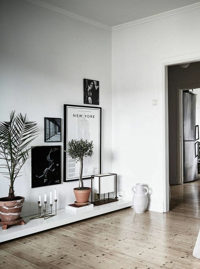 1-décorer-son-appartement-sol-en-parquet-clair-murs-blancs-plantes-vertes-d-interieur