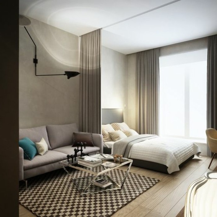1-meubler-un-studio-20m2-sol-en-planchers-en-bois-table-design-basse-en-fer-et-verre-canapé-gris