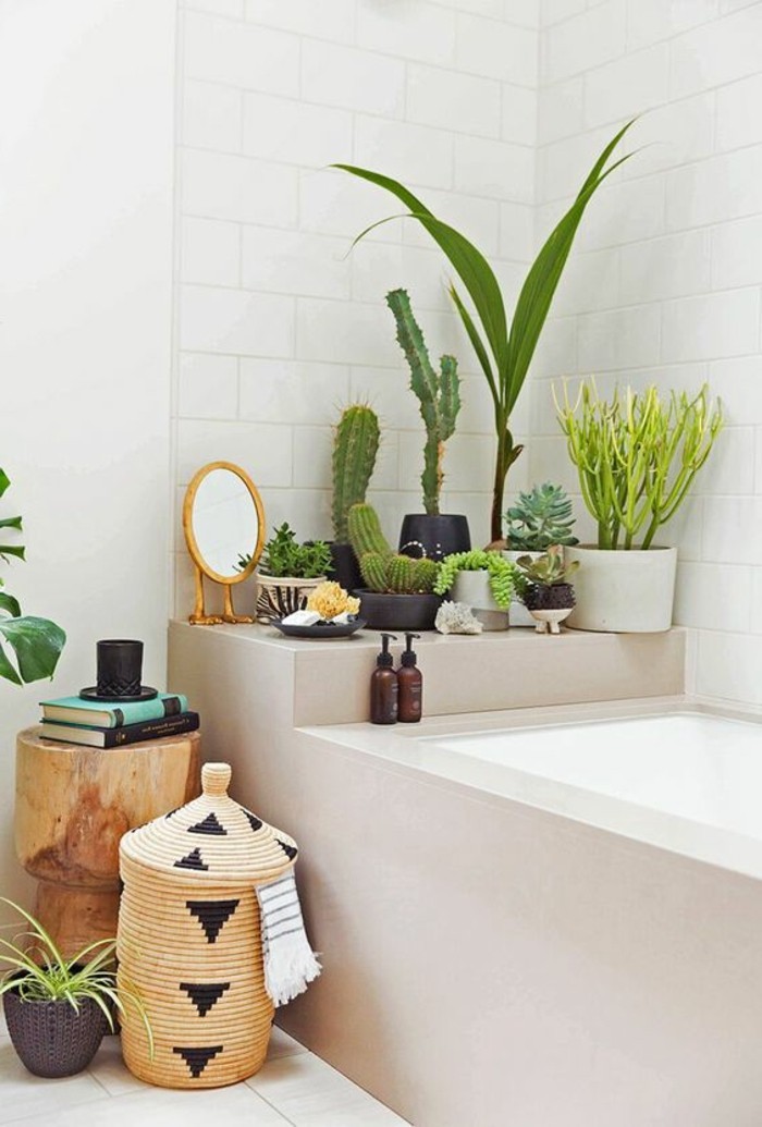 décorer-son-appartement-salle-de-bain-carrelage-blanc-plantes-vertes-salle-de-bain