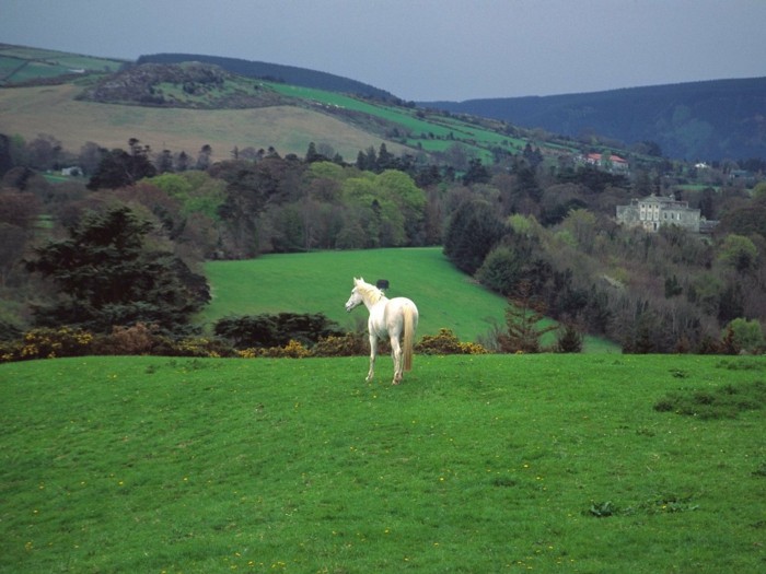 fantastiqueidée-visiter-l-irlande-en-voiture-cheval-blanc