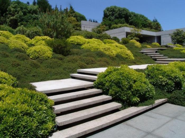 jardin-en-pente-aménagement-jardin-en-pente-escalier-et-arbustes