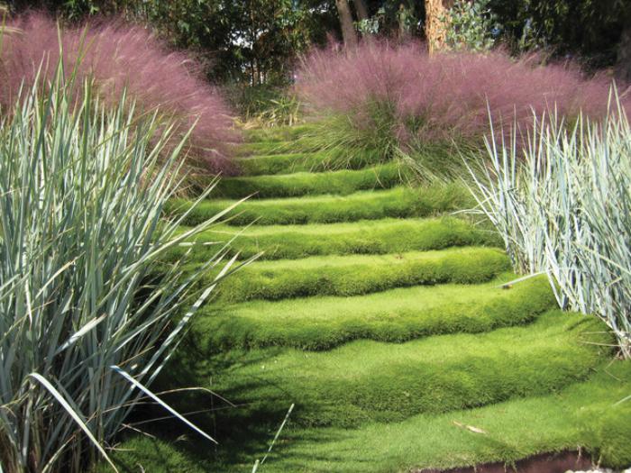 jardin-en-pente-jardin-original-escalier-caché-sous-la-mousse-verte