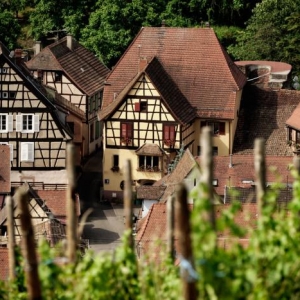 Sur la route des vins d' Alsace - ballade virtuelle en 44 photos