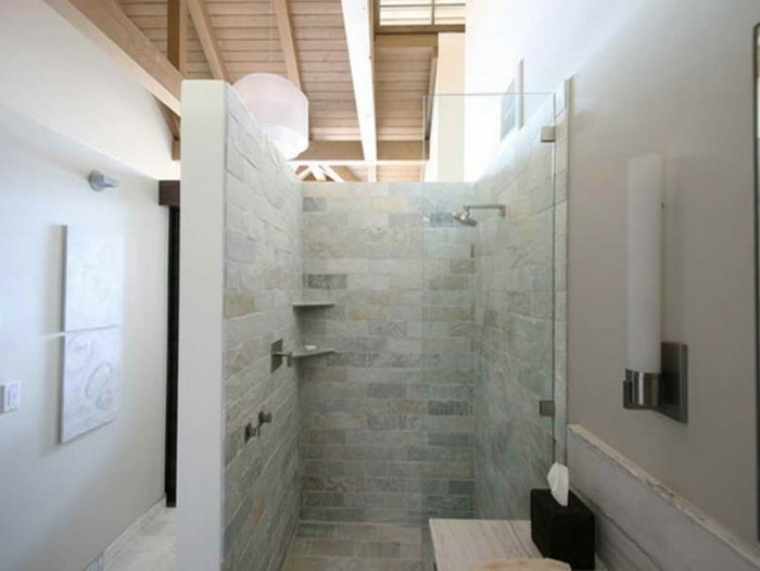 modele-douche-a-l-italienne-idee-pour-les-petites-salles-de-bain-resized